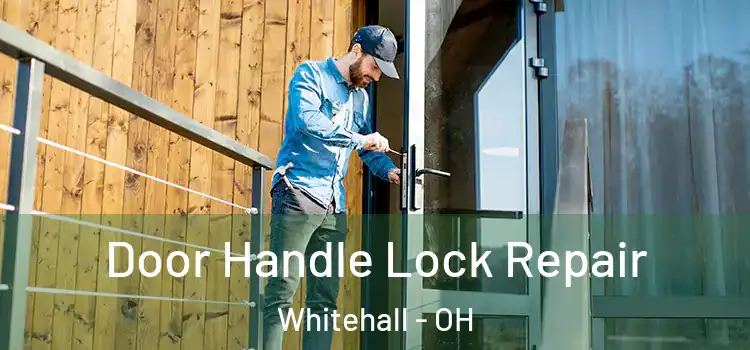 Door Handle Lock Repair Whitehall - OH