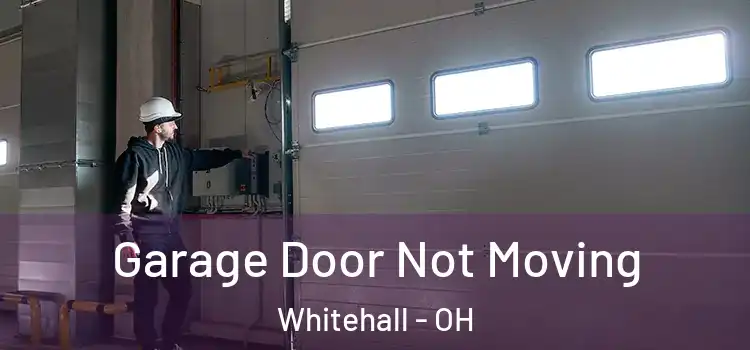  Garage Door Not Moving Whitehall - OH