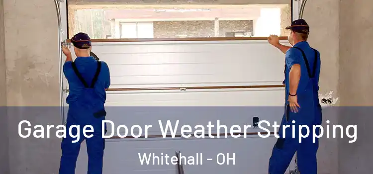  Garage Door Weather Stripping Whitehall - OH