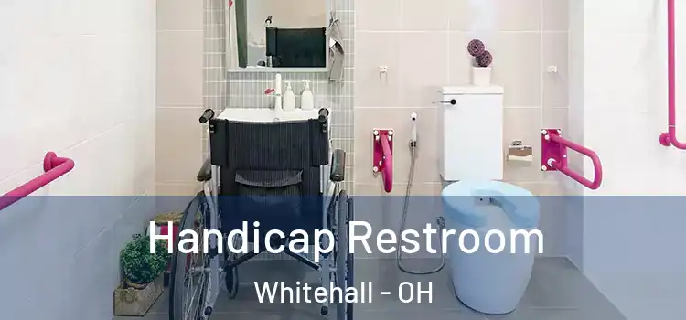  Handicap Restroom Whitehall - OH