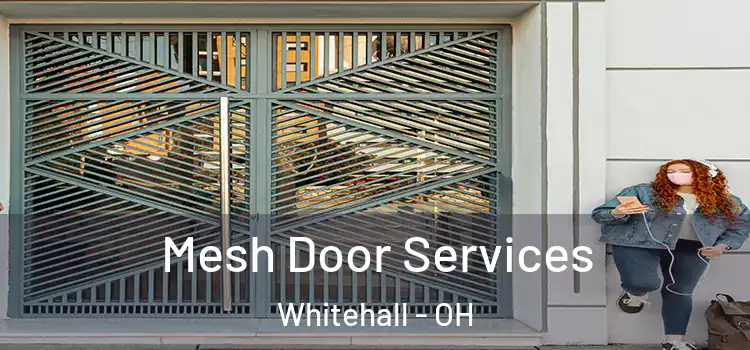 Mesh Door Services Whitehall - OH