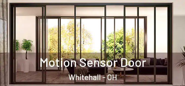 Motion Sensor Door Whitehall - OH