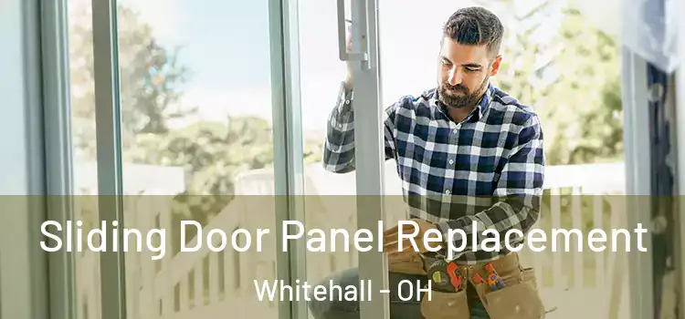  Sliding Door Panel Replacement Whitehall - OH