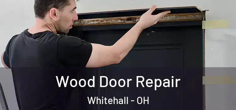  Wood Door Repair Whitehall - OH